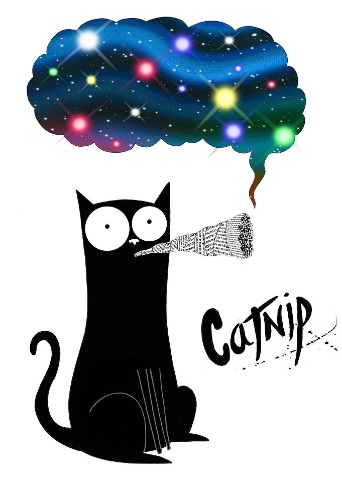 Catnip (Things To Do With Yesterday's Paper)
