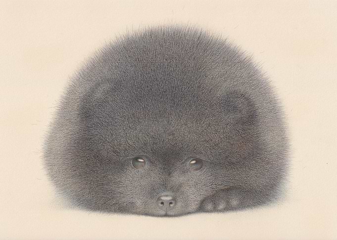 Black Pomeranian puppy watercolor by Irshi. more at ht ...