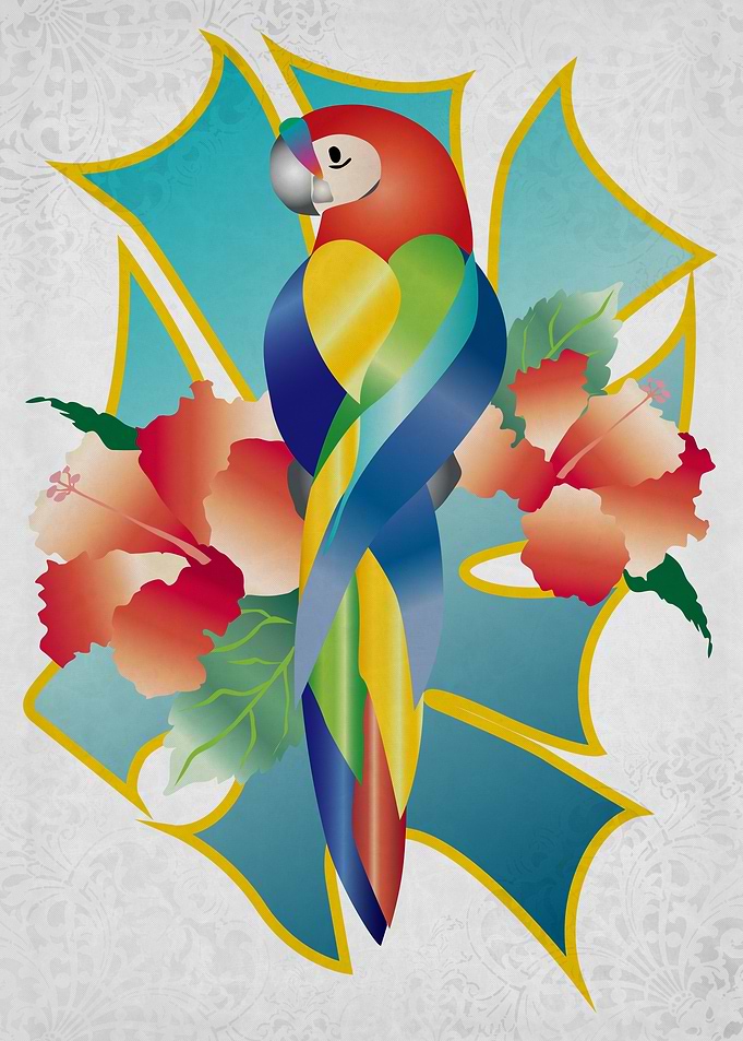 Pretty Rainbow Parrot Tropical Orange Hibiscus Flowers ...