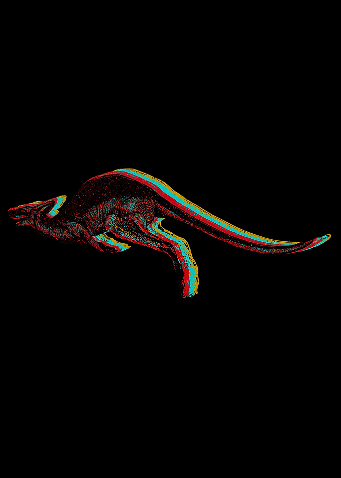 kangaroo