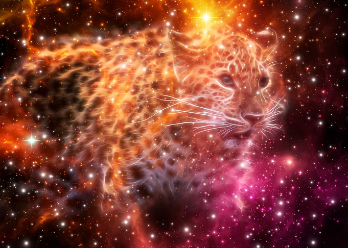 animal nebula