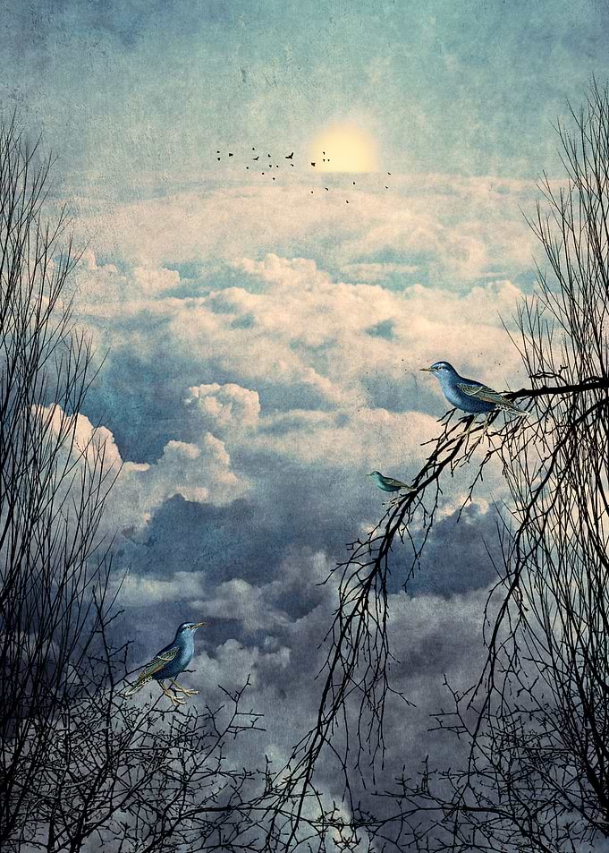 HEAVENLY BIRDS III