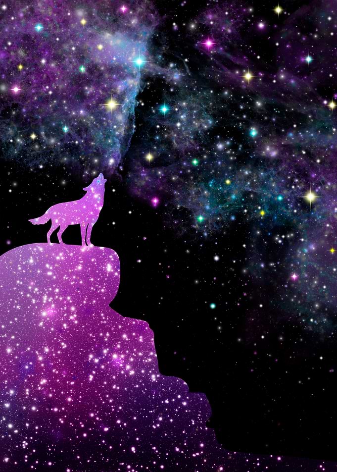 galaxy animal