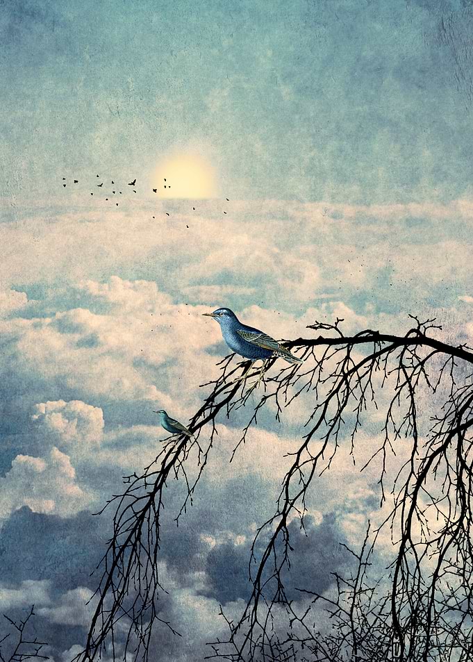 HEAVENLY BIRDS III-B