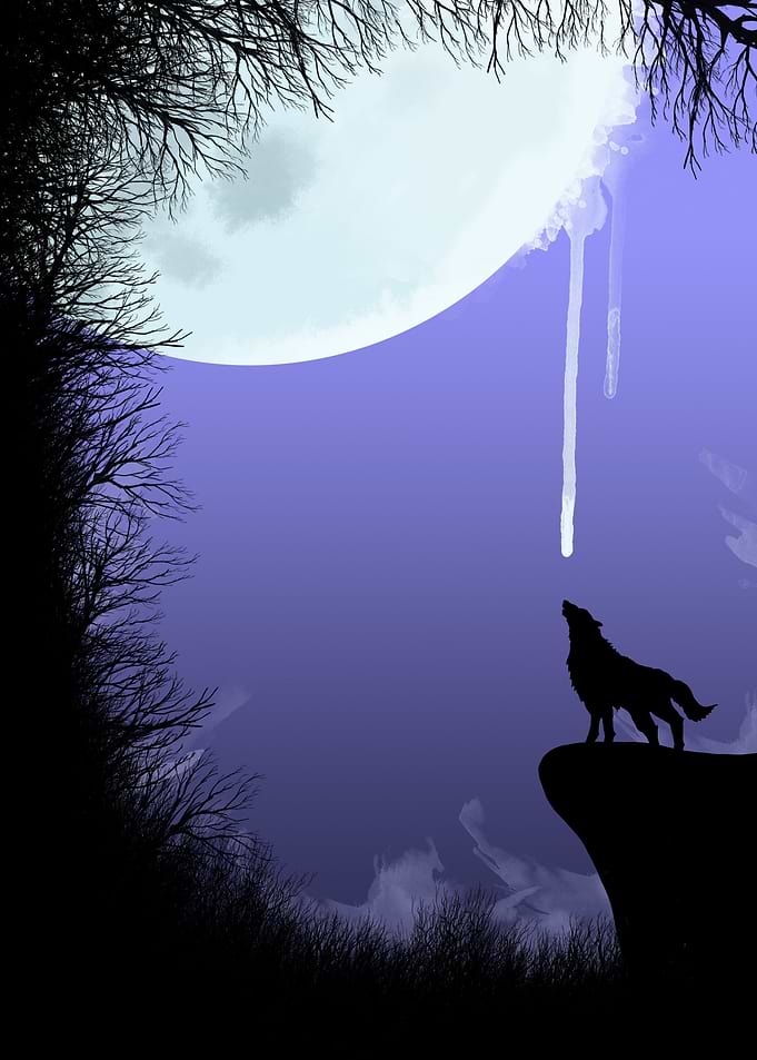 wolf