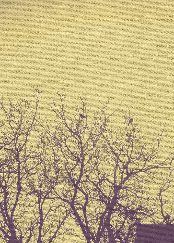 Dusty Canvas Birds