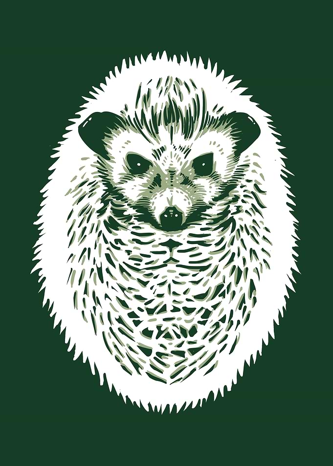 hedgehog