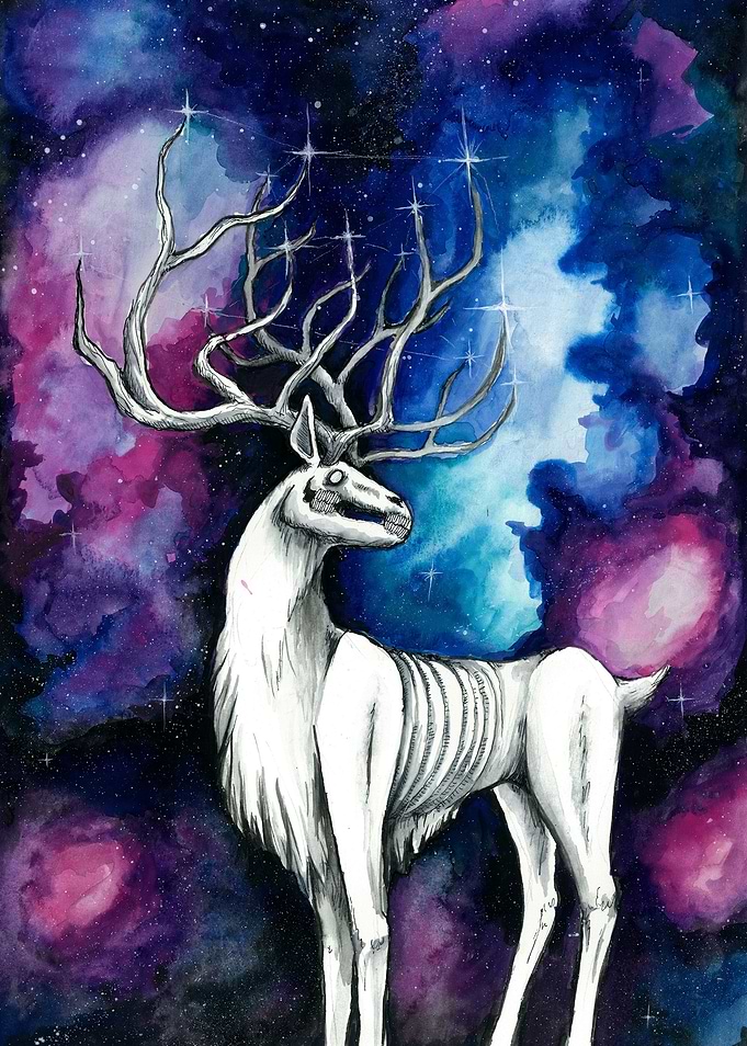 'Stargazer'