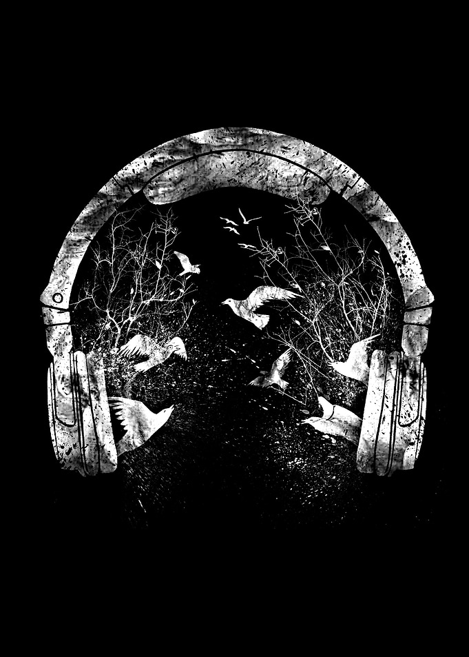 headphone black and white