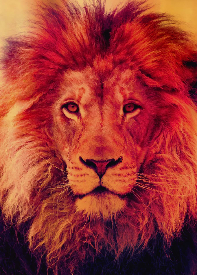 Lion King
