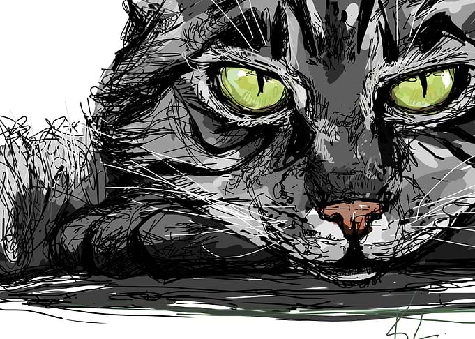 Meow.