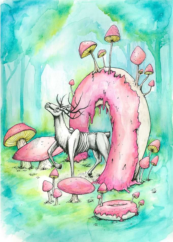 'Doughnut Wonderland'