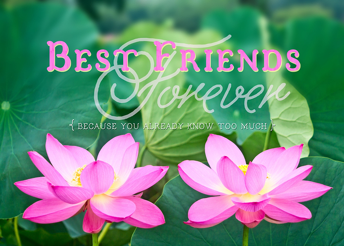 Best Friends Forever Gorgeous Pink Lotus Pair Green Lea ...