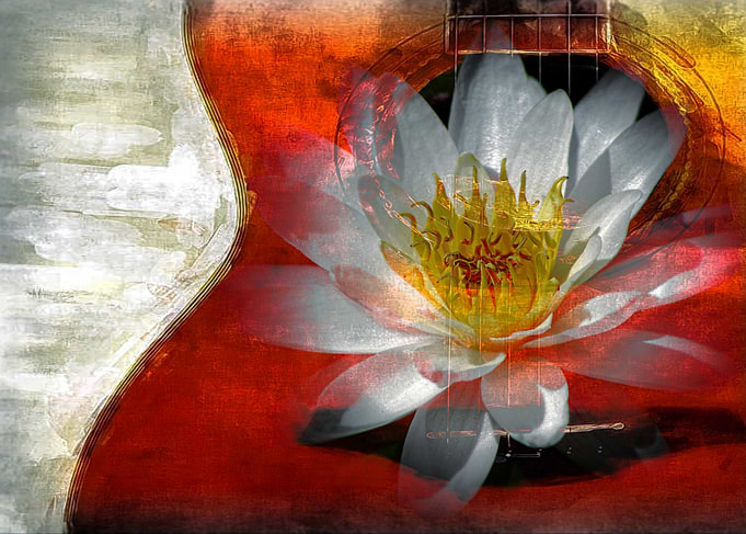 Mixed media art and photography piece of a waterlily an ...