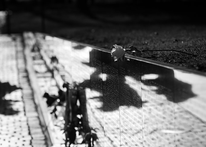 'The Rose' ~ Objects left at the Vietnam Wall on Vetera ...