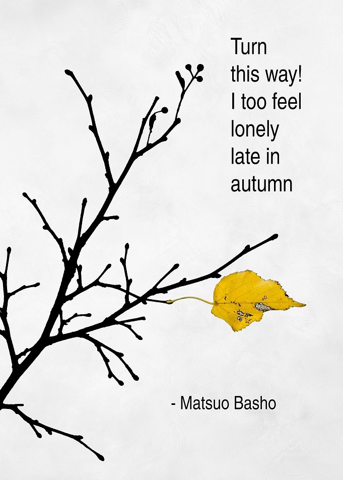 Yellow Leaf And Haiku