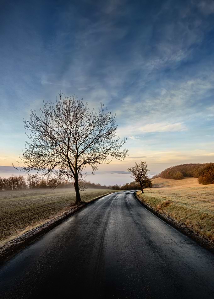 The road to the mysterious land
