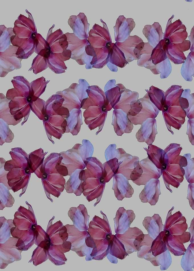 petals BY GASPONCE