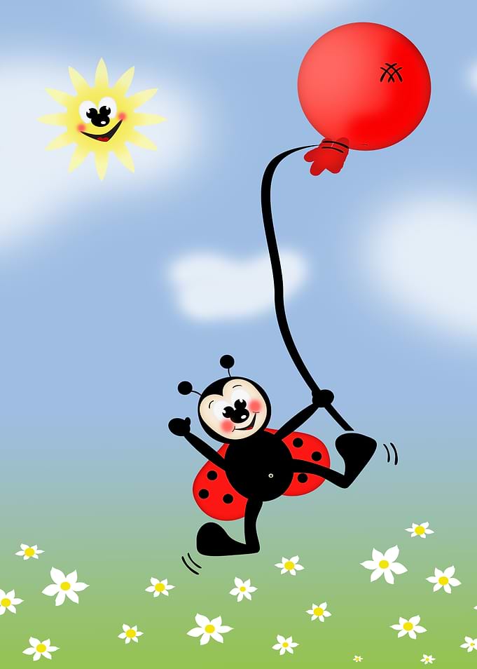Funny Ladybug CB