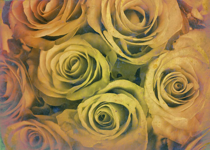 Vintage bleached bouquet of roses by Clare Bevan Photog ...