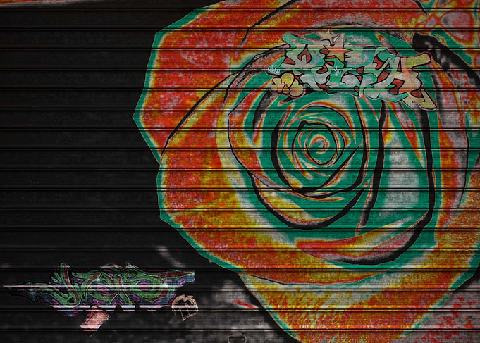 Rose graffiti art on black metal shutter by Clare Bevan ...