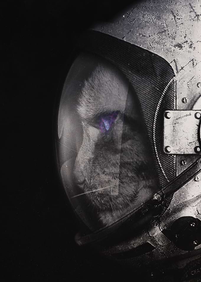space catet starring into space