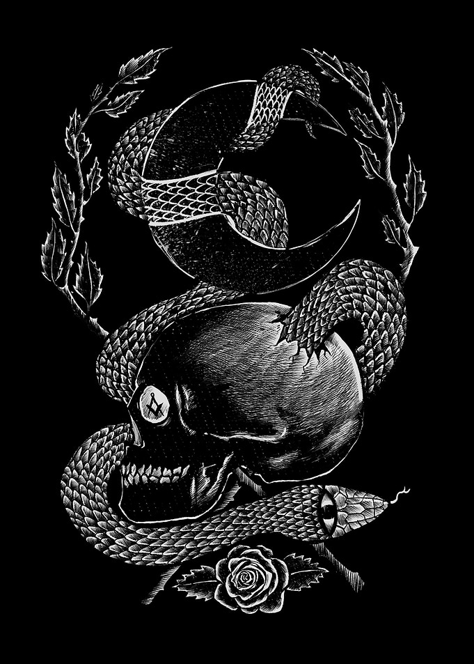 Night mortality
