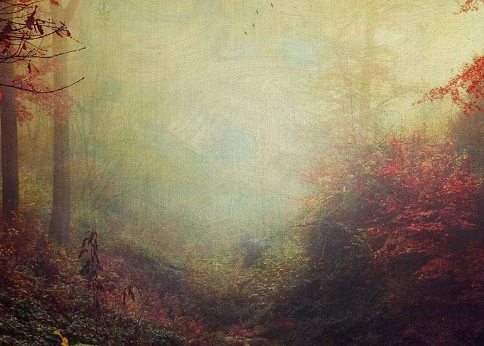 Fall Impressions - textured photograph