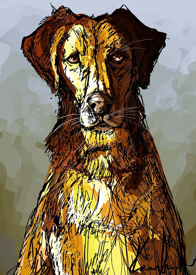 Golden dog.