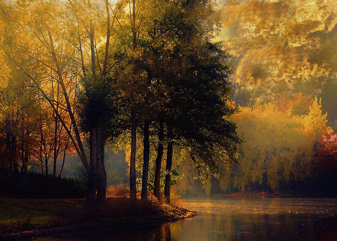 A beautiful golden morning