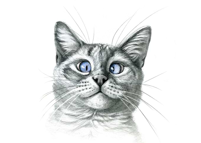 Cross Eyed cat G122 by Svetlana Ledneva-Schukina