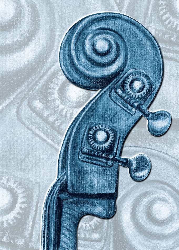 Upright Bass Headstock