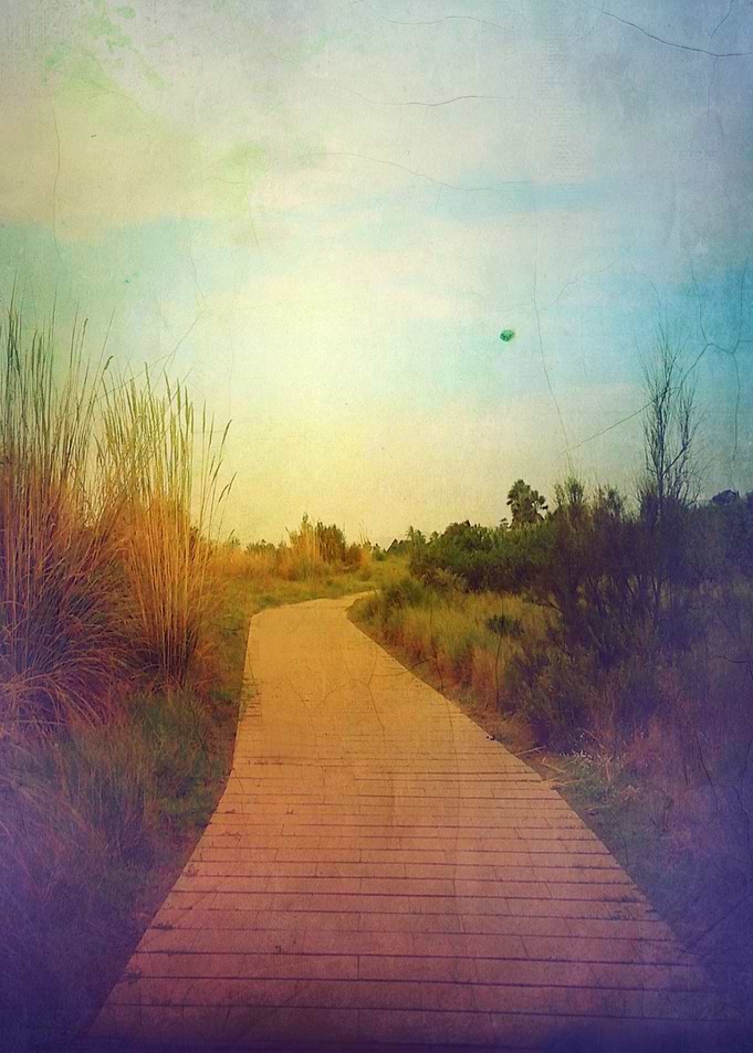 'Pave the way' Color photograph taken in Barcelona's be ...