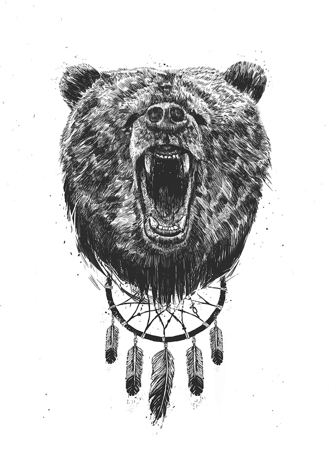 Don't wake the bear