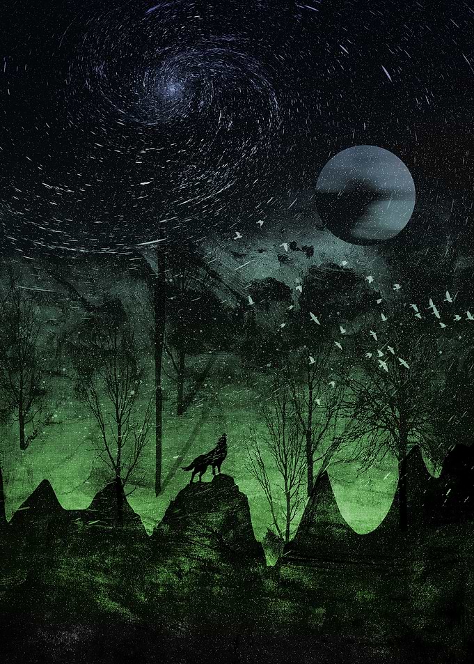 Evening Stars