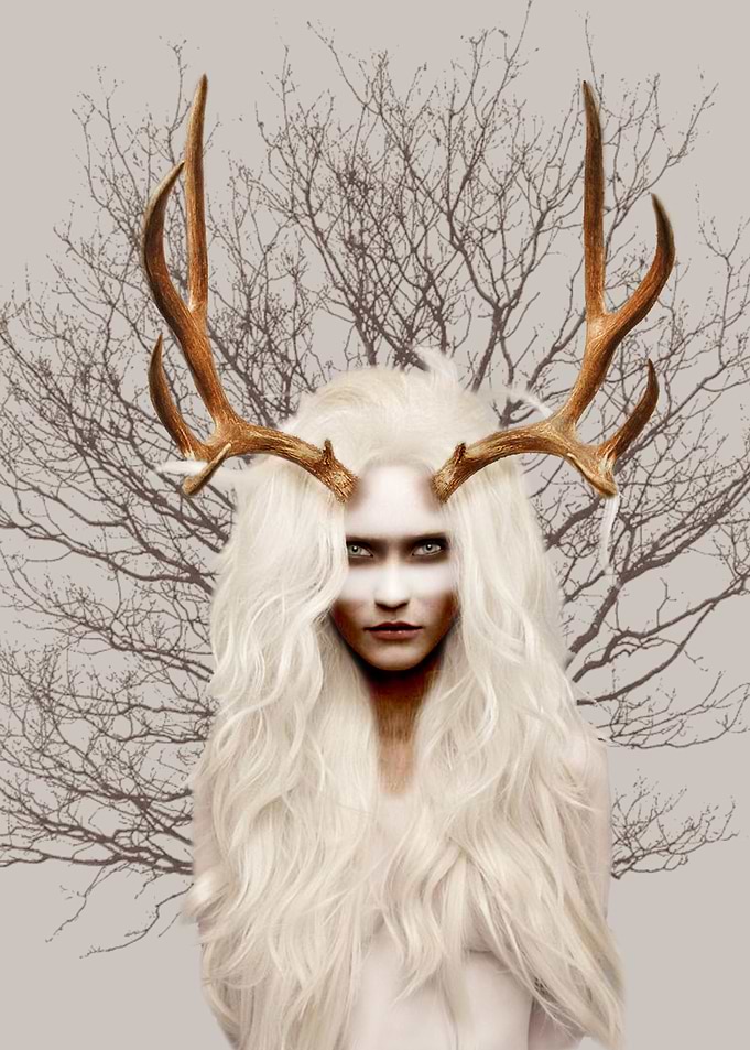 'From the Forest'