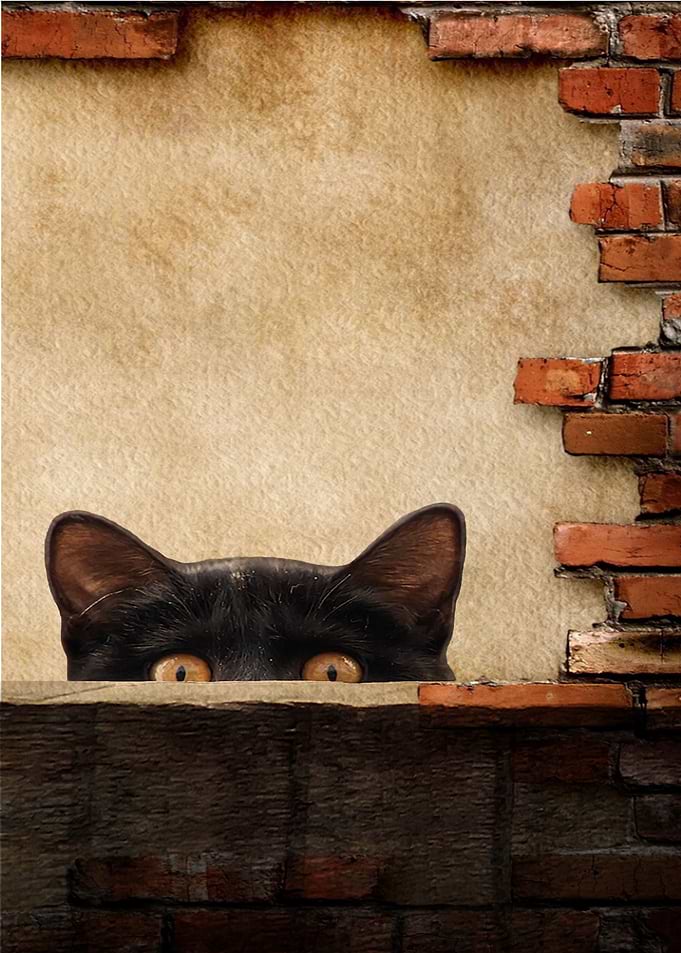 Curious