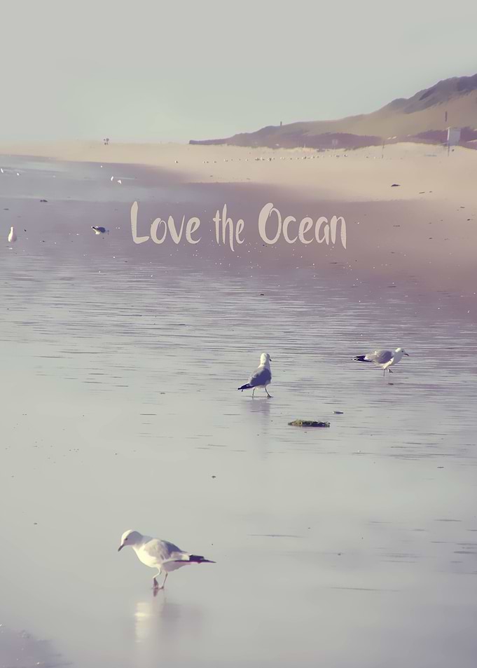 'LOVE the OCEAN III '. PHOTOGRAPHY, BEACH; NORTHSEA; SY ...