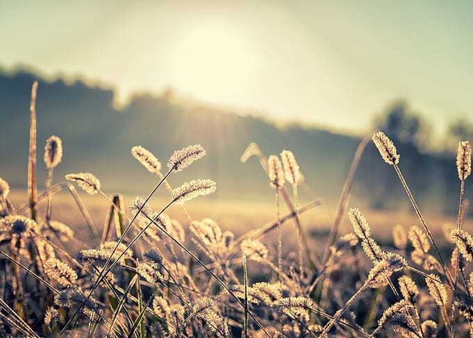 Sunrise in winter morning