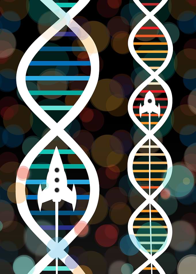 Evolution DNA race!