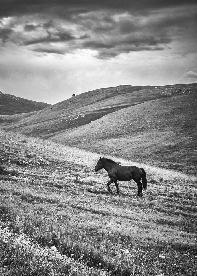 Lone Ranger