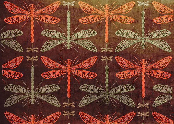 Hand drawn illustration or drawing of a dragonflies pat ...