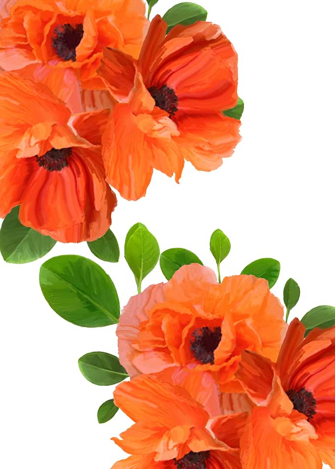 Poppies