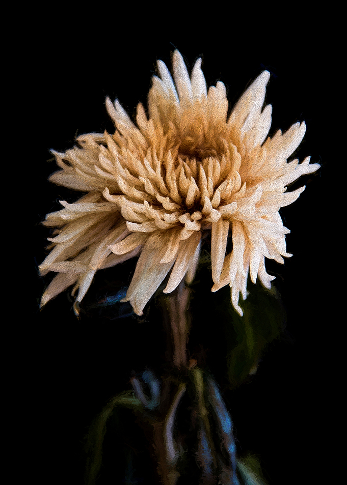 Untitled I