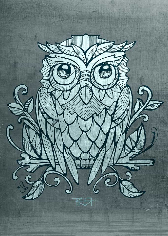 Hand drawn illustration or drawing of an owl