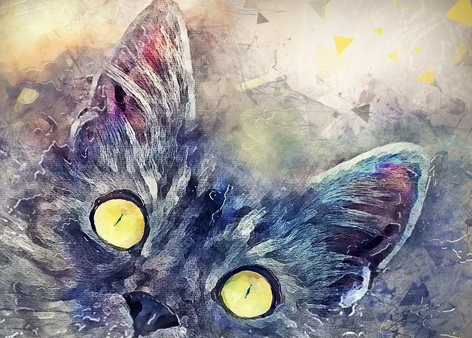 Kitty