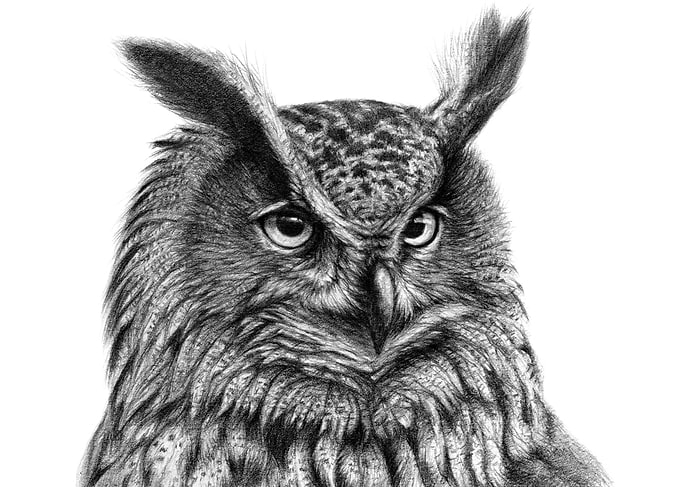 Eurasian eagle owl G045 by Svetlana Ledneva-Schukina r ...