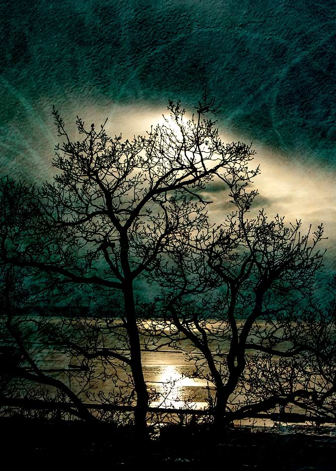 Landscape in a dream