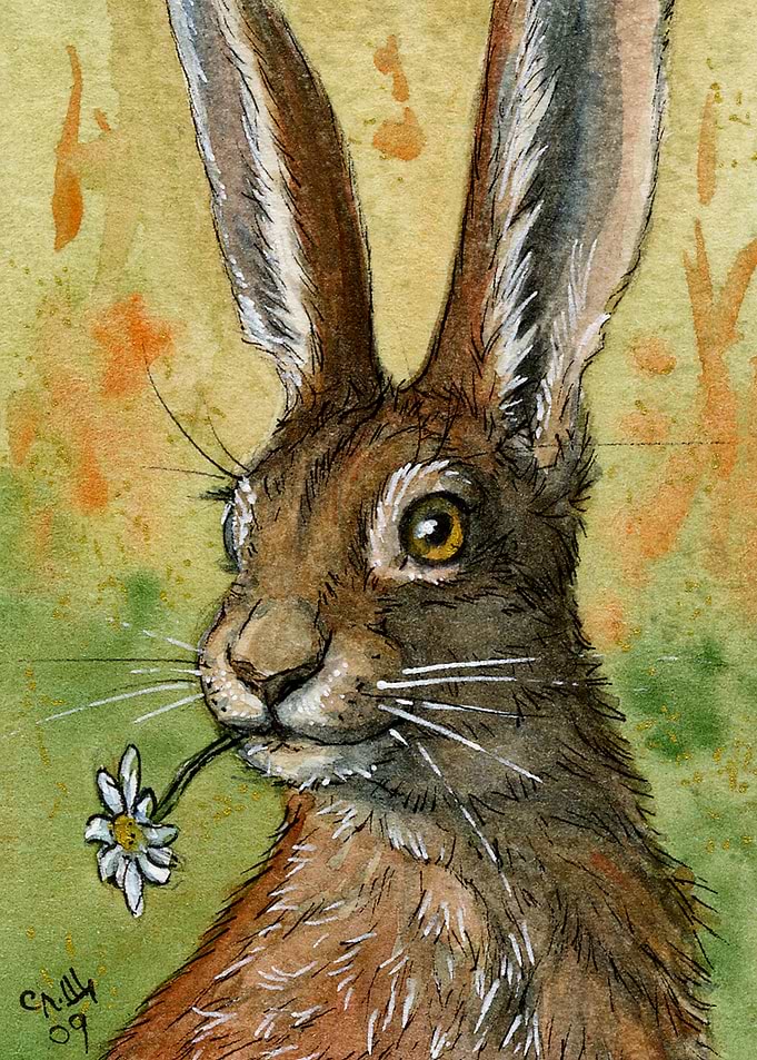 One Daisy for You 488 by Svetlana Ledneva-Schukina