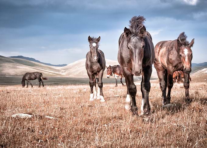 These days